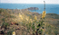мыс Хамелеон, справа Тихая бухта, слева Мертвая бухта. вид от г. Кучук-Янышары